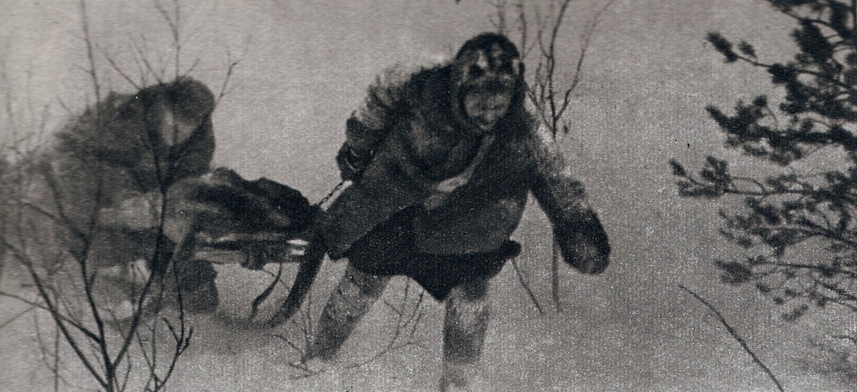 Кадры из Дикая собака динго (1962)