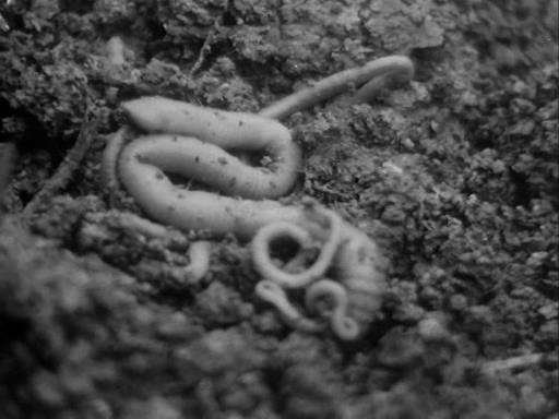 Свадебная ваза (1975)