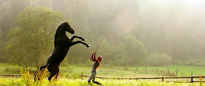 Кадры из Оствинд 2 / Восточный ветер 2 (2015)