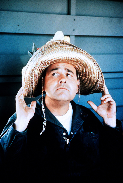 Кадры из Это безумный, безумный, безумный, безумный мир (1963)