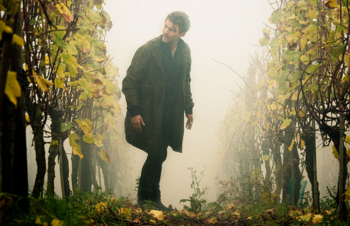 Кадры из Вайнберг (2015)