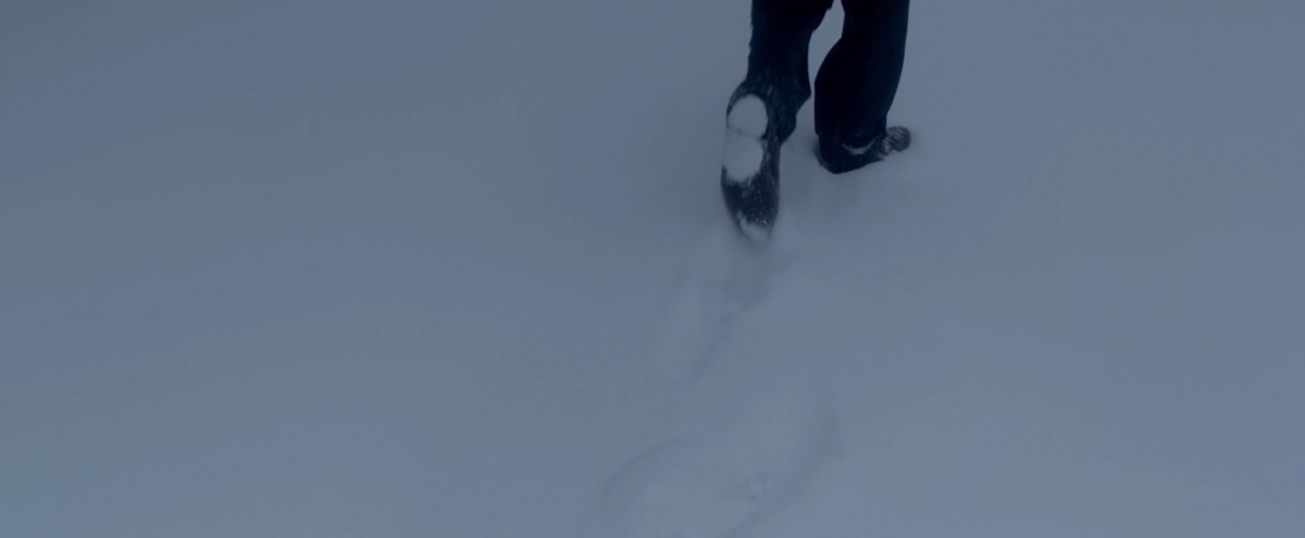 Кадры из Эллис (2015)