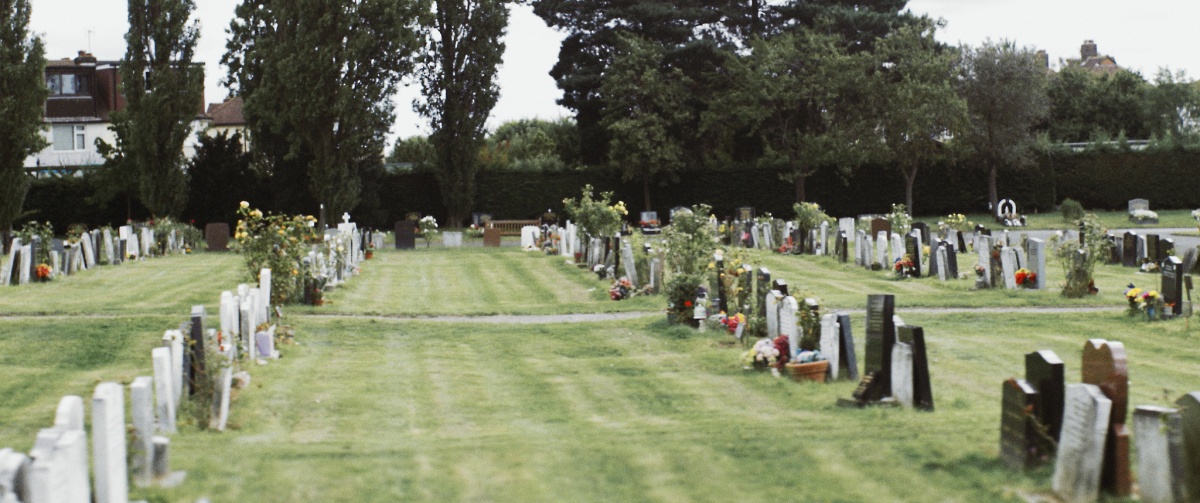 Кадры из Нина навсегда (2015)