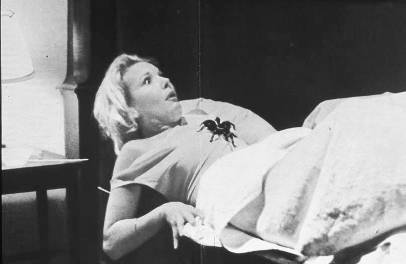 Кадры из Поцелуй тарантула (1980)