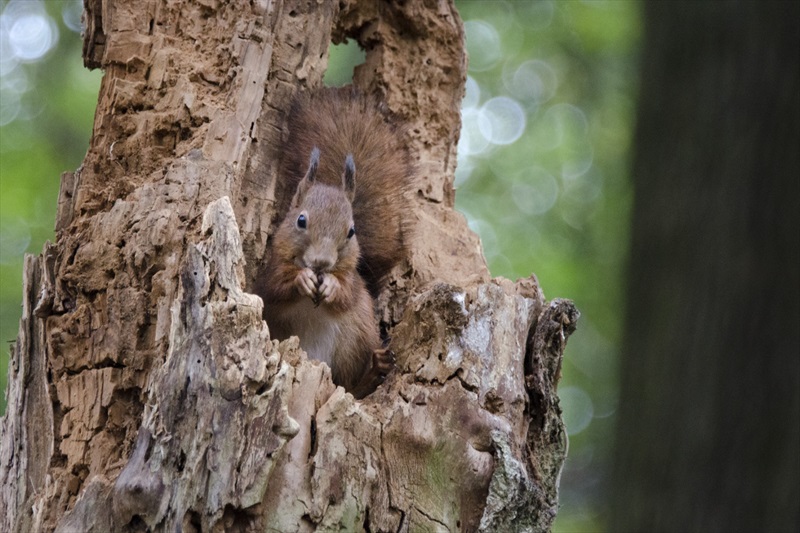 Кадры из Времена года (2015)