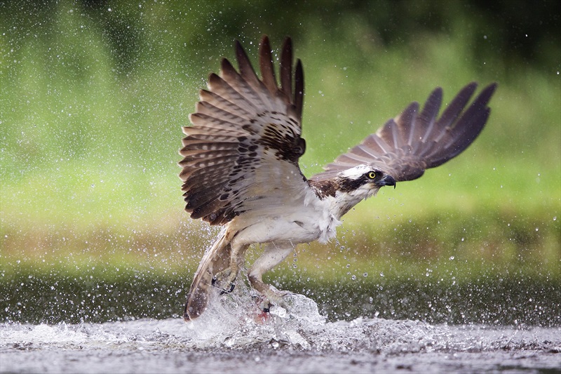 Кадры из Времена года (2015)