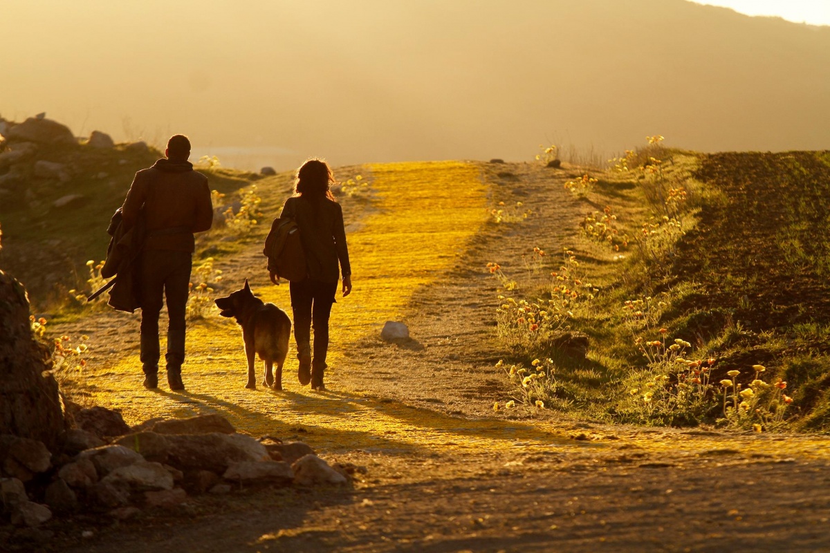 Кадры из Изумрудный город (2017)