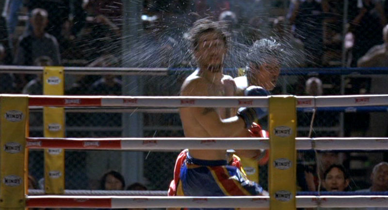 Кадры из Вампиры 3: Пробуждение зла (2005)