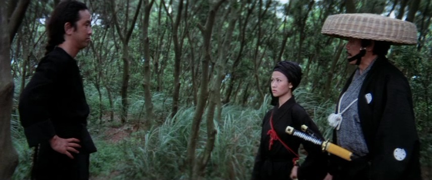 Кадры из Китайский боксёр (1977)