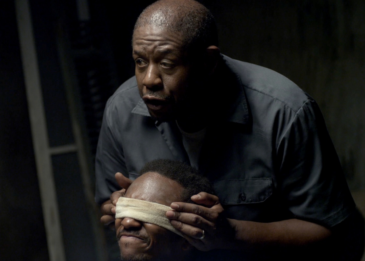 Кадры из Покаяние (2013)