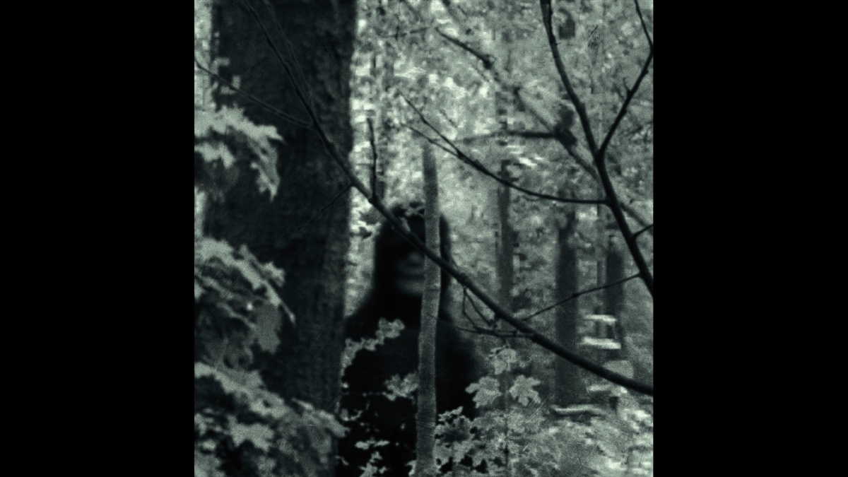 Кадры из БайБайМэн (2017)