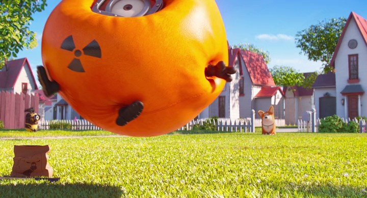 Кадры из Миньоны против газона (2016)