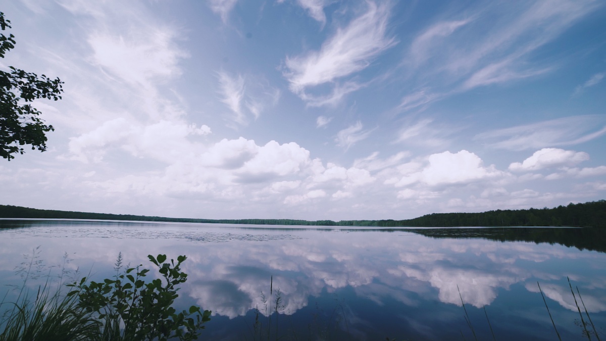 Кадры из Ведьма (2020)