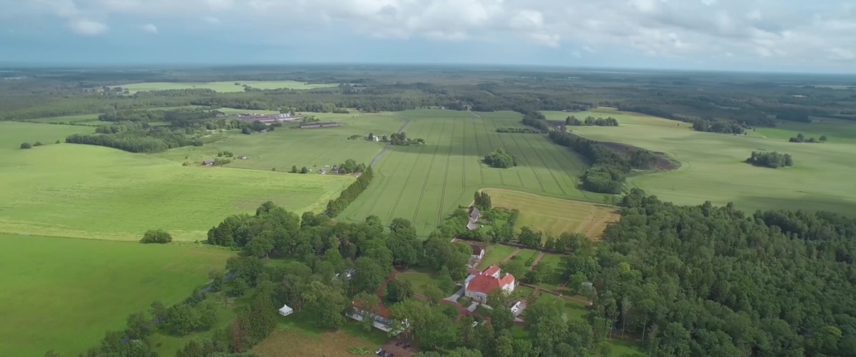 Кадры из Да, шеф! (2017)