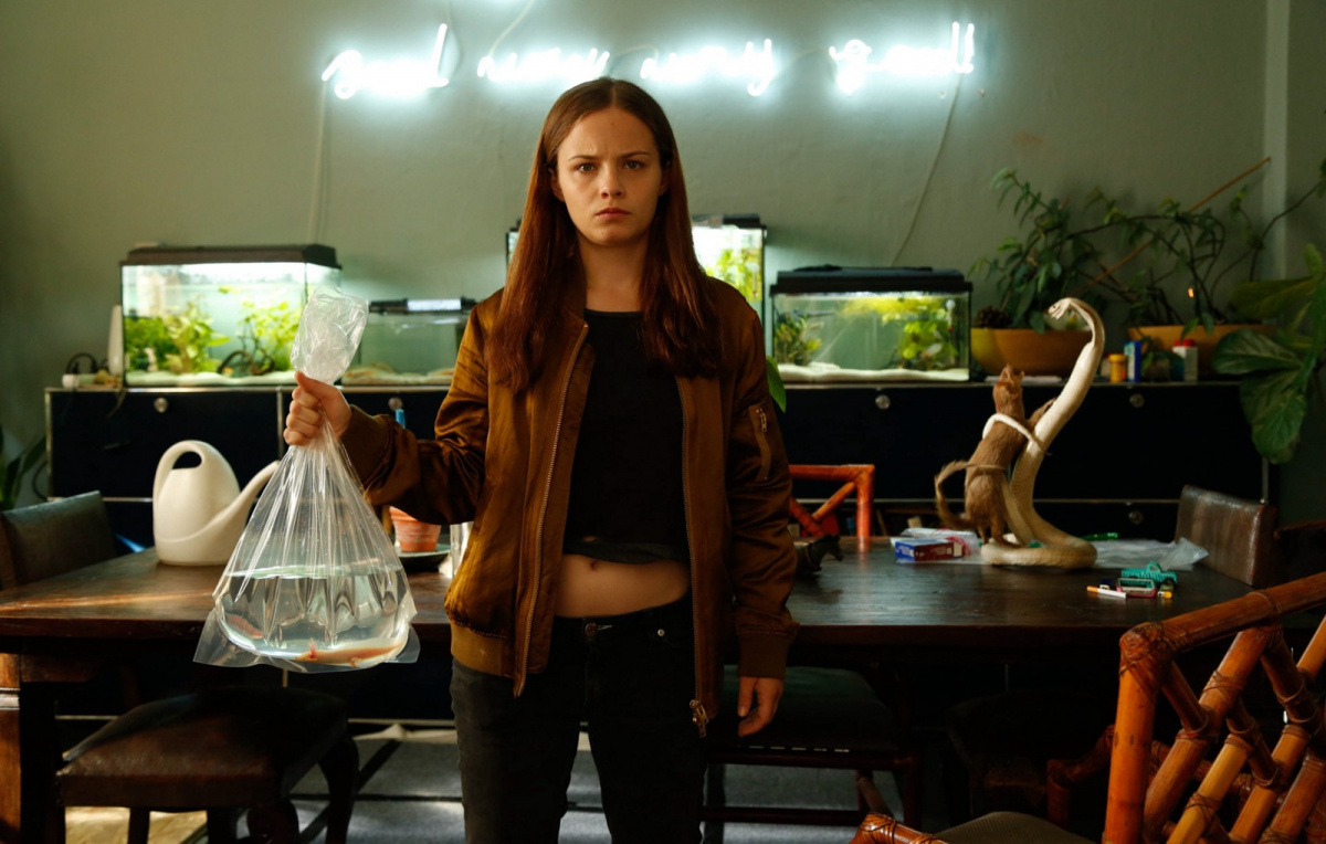 Кадры из В стране аксолотлей (2017)