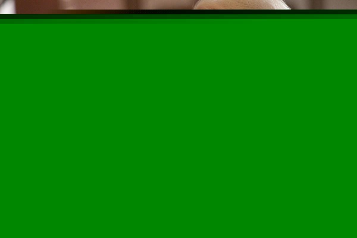 Кадры из Голодные игры (2012)