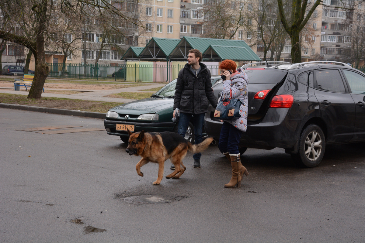 Кадры из Мухтар. Новый след (2017)