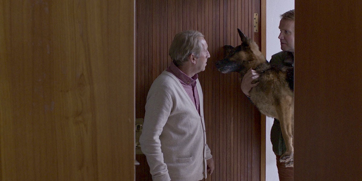 Кадры из Под деревом (2017)