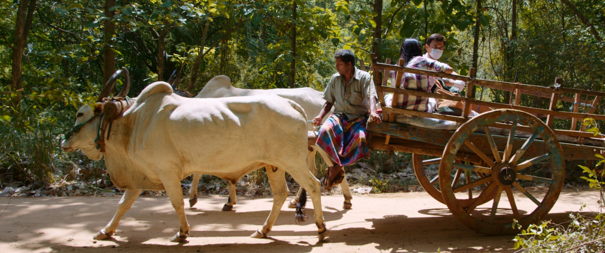 Кадры из Не египте мне мозги! (2018)
