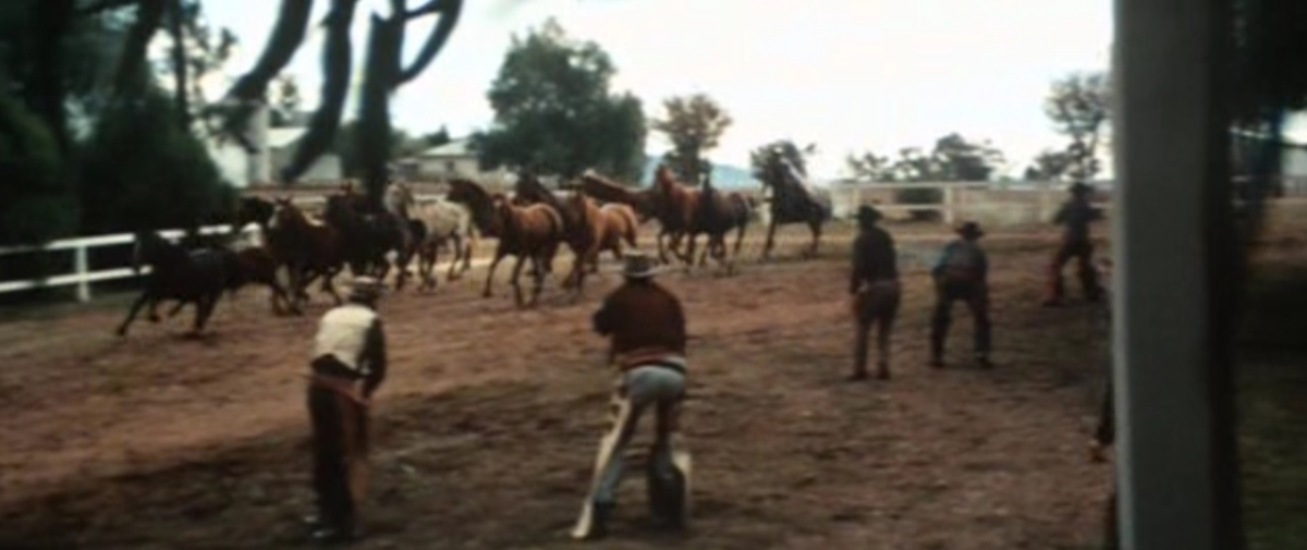 Кадры из Странствующий мститель (1968)