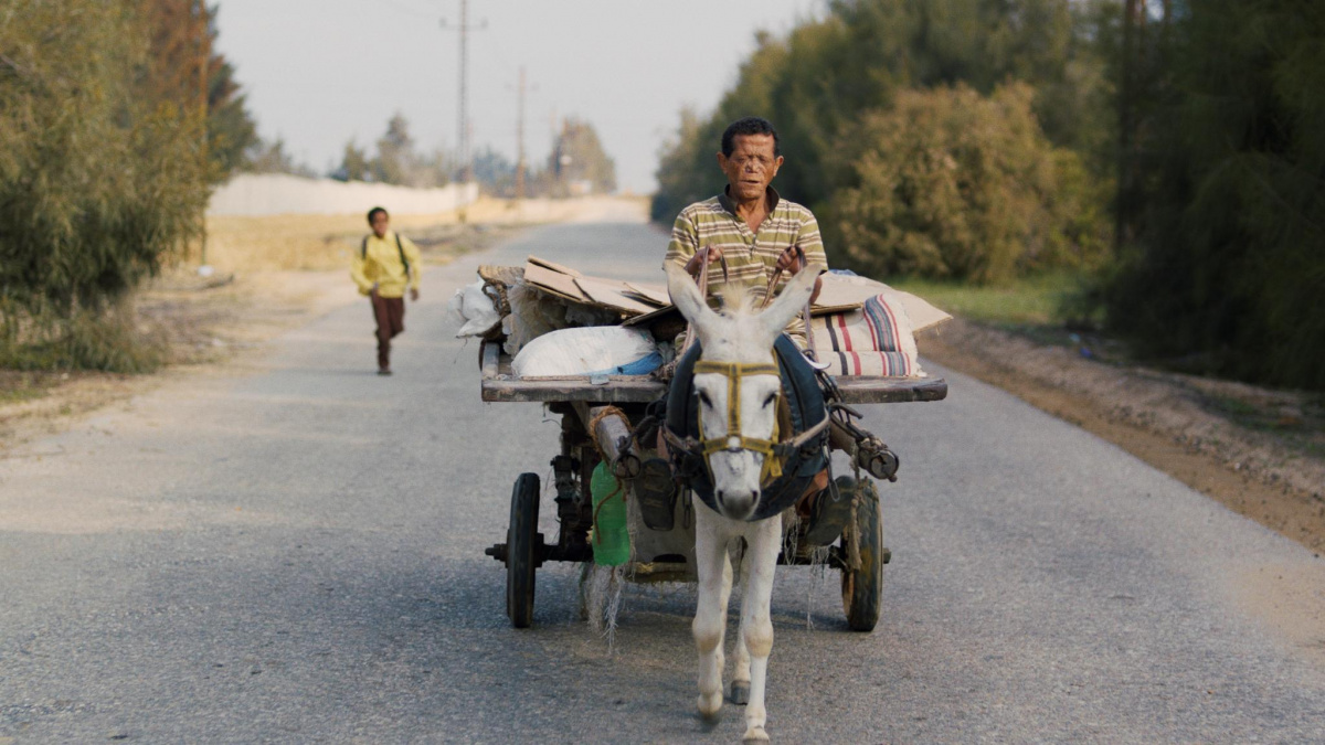 Кадры из Судный день (2018)