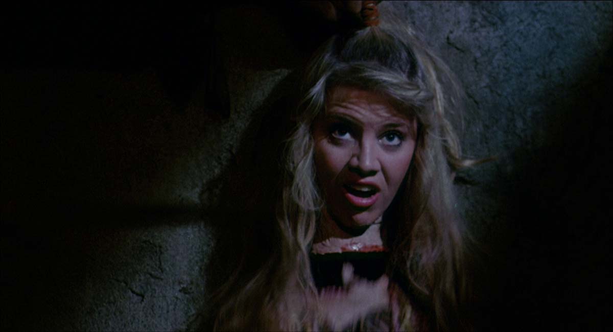 Кадры из Адская ночь (1981)