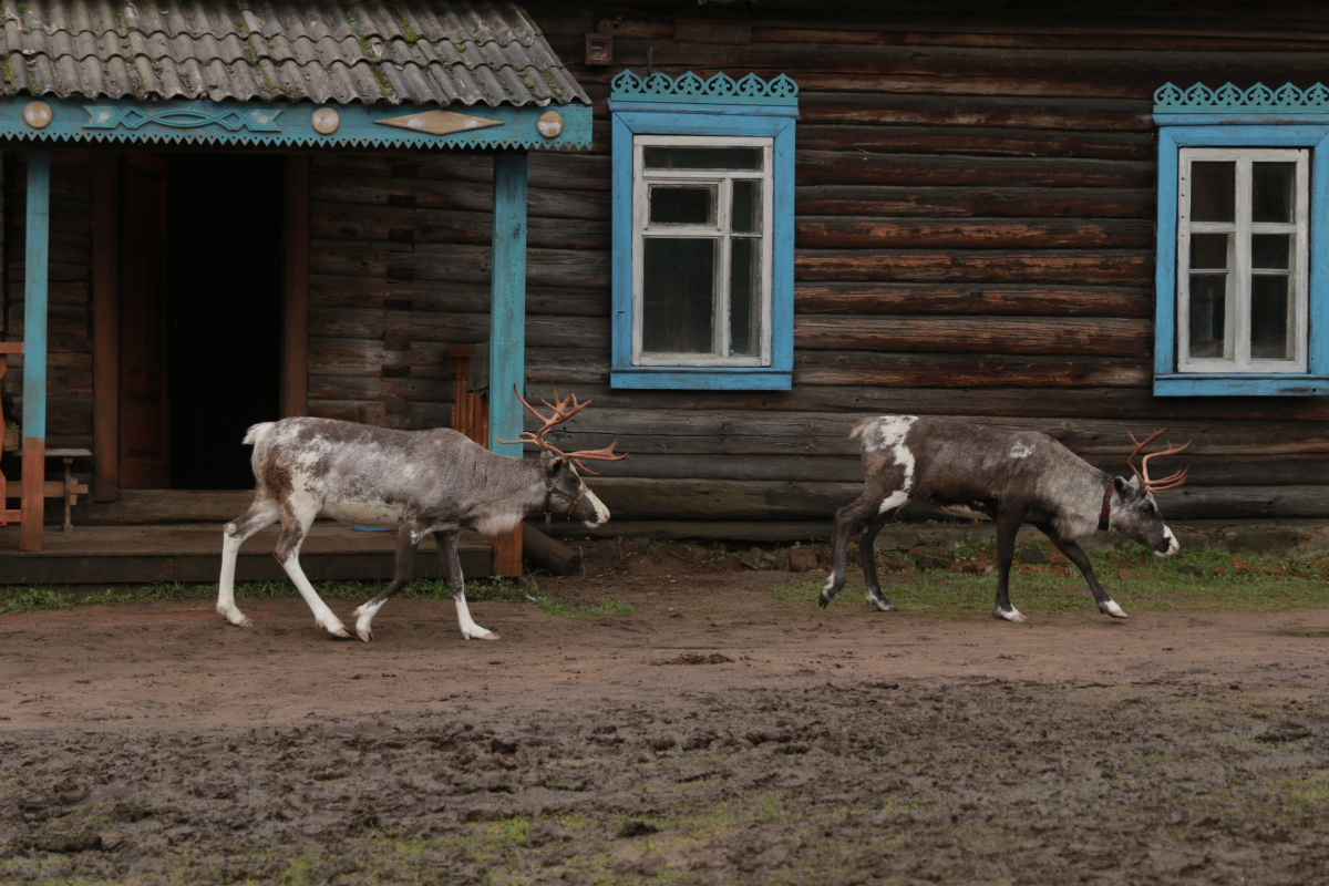 Кадры из Сердце мира (2018)