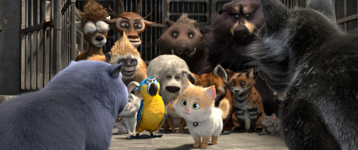 Кадры из Большой кошачий побег (2018)