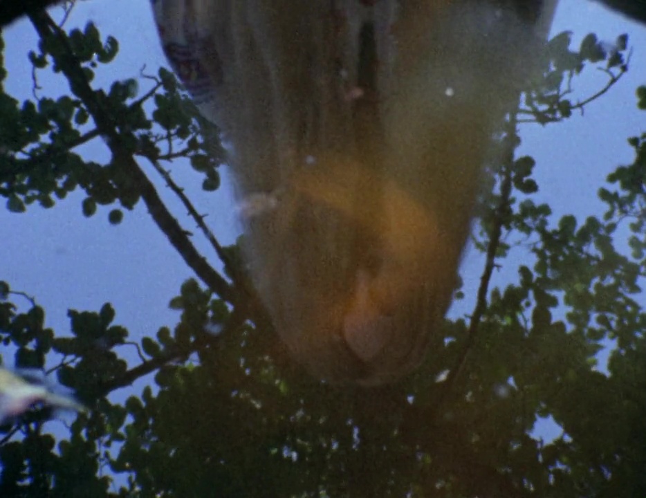 Кадры из Бабочка (1973)