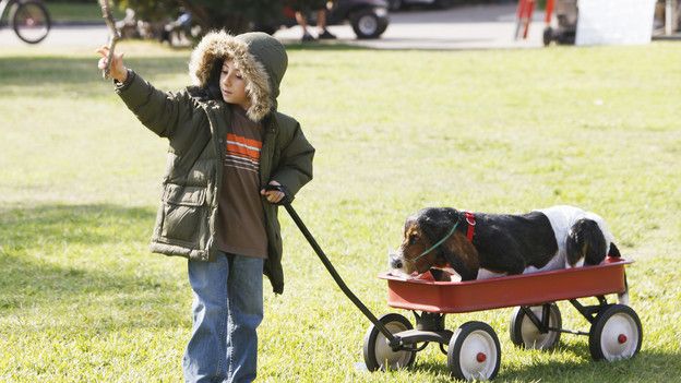 Бывает и хуже (2009)