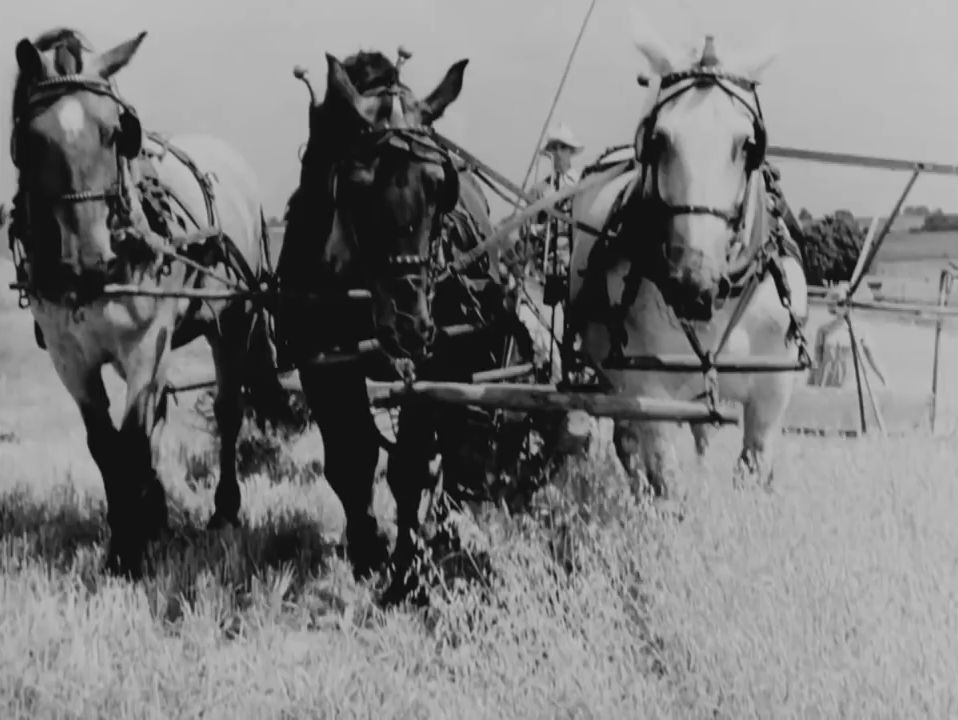 Кадры из Прелюдия к войне (1942)