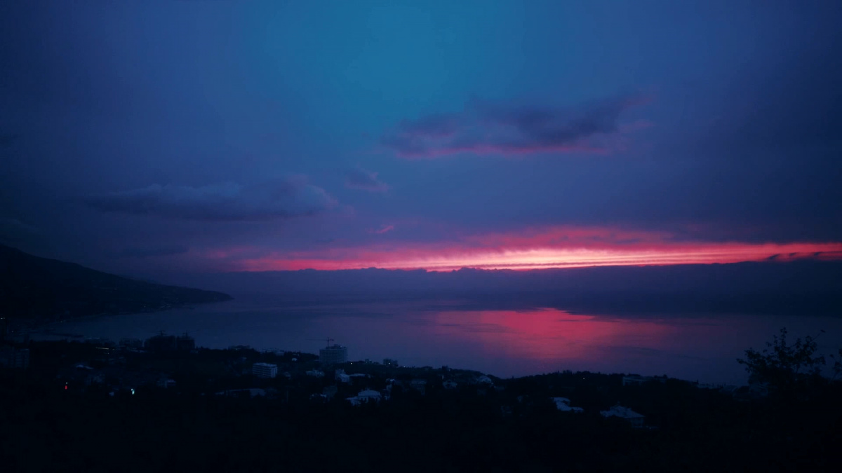 Смотри мою любовь (2019)