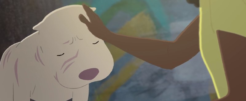 Кадры из Котбуль (2019)