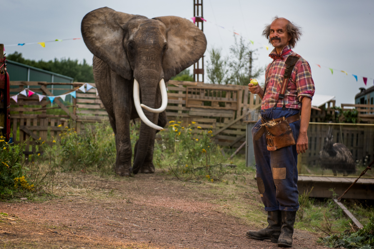 Кадры из Маленькая мисс Дулиттл (2018)