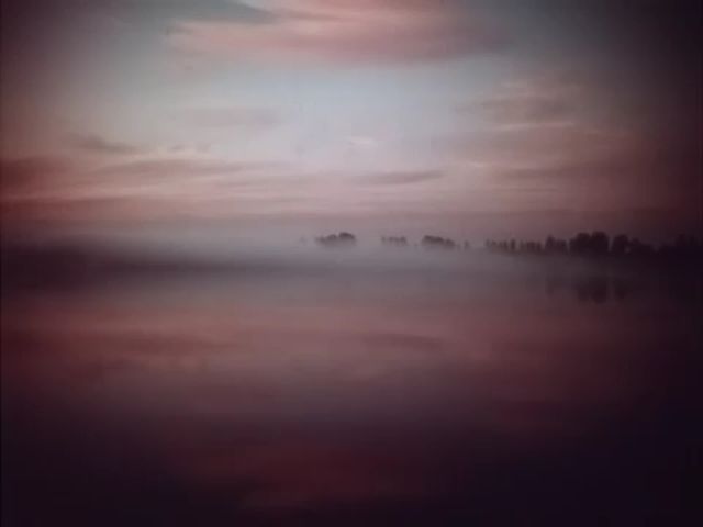 Кадры из Медовый месяц (1956)