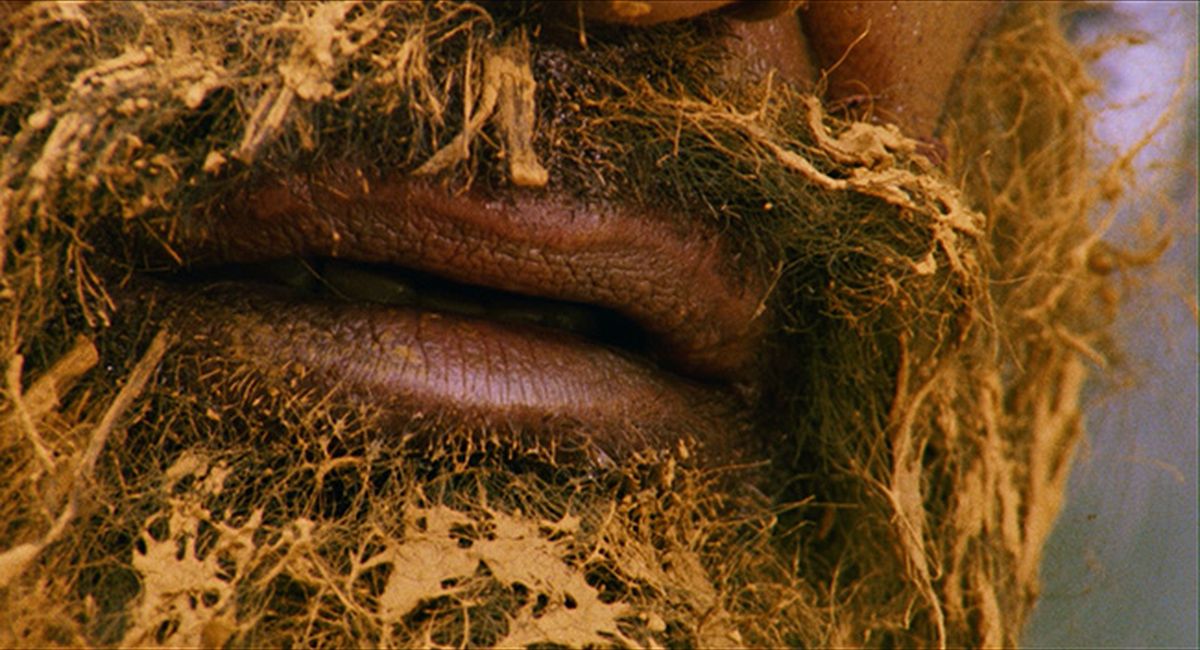 Кадры из Отвязные каникулы (1986)