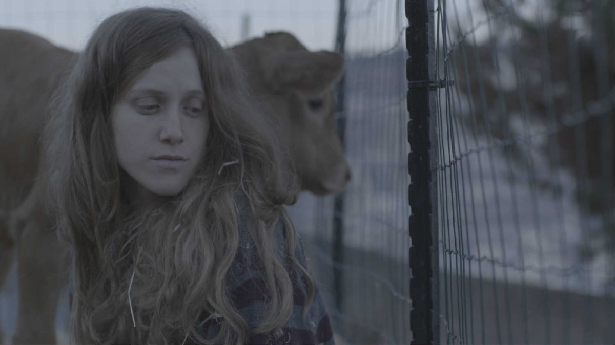 Кадры из Красная корова (2018)