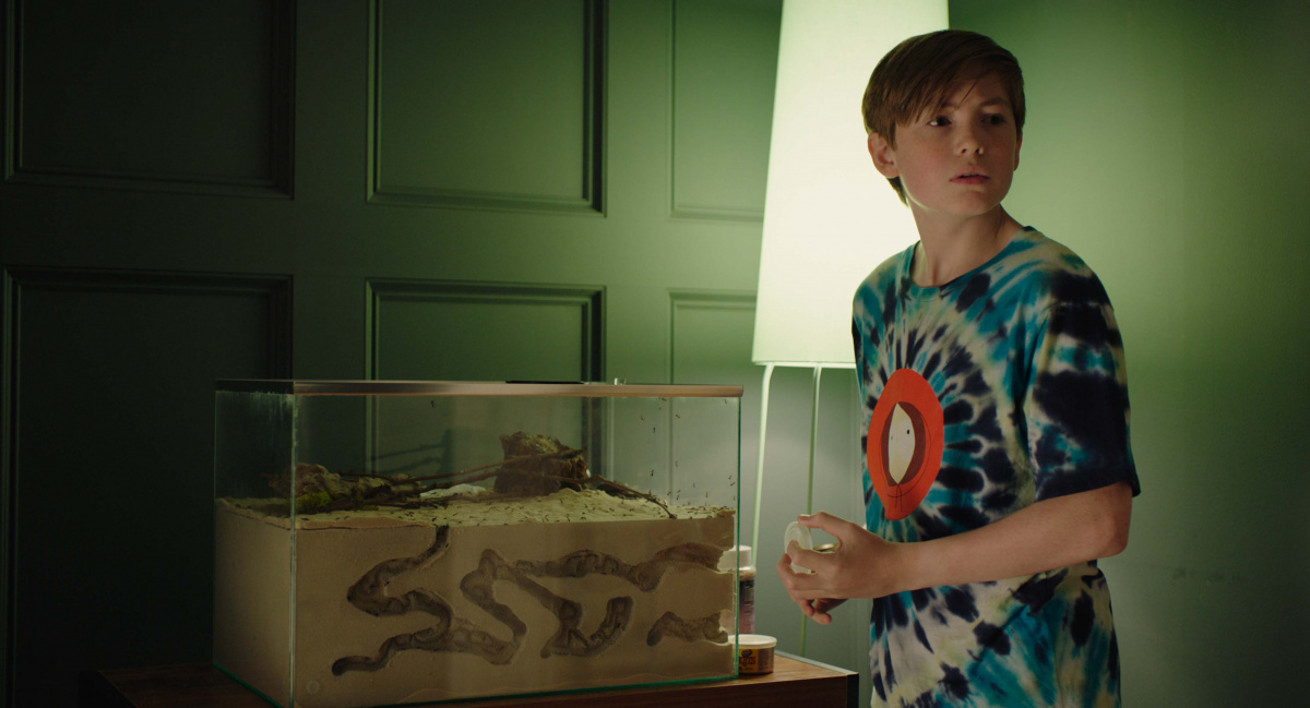 Кадры из Малыш Джо (2019)