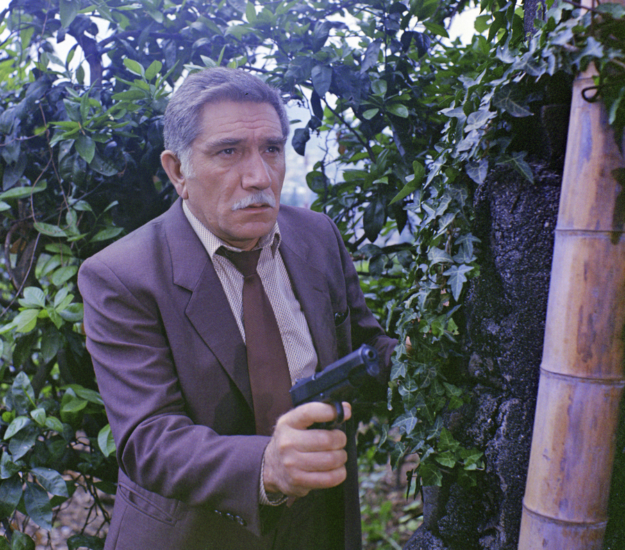 Тайны мадам Вонг (1986)