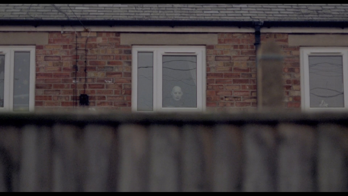 Кадры из Опоссум (2018)