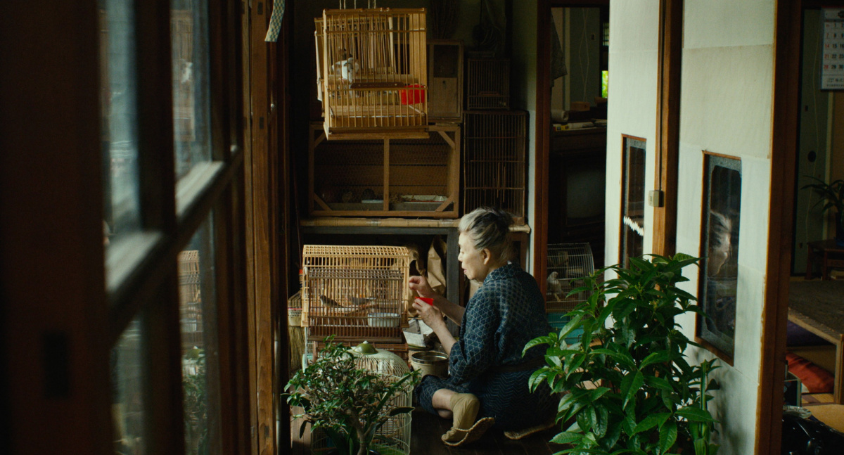 Кадры из Место, где живёт Мори (2018)