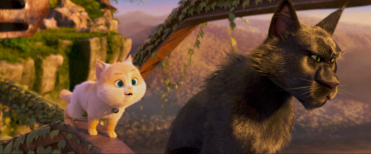 Кадры из Большой кошачий побег (2018)