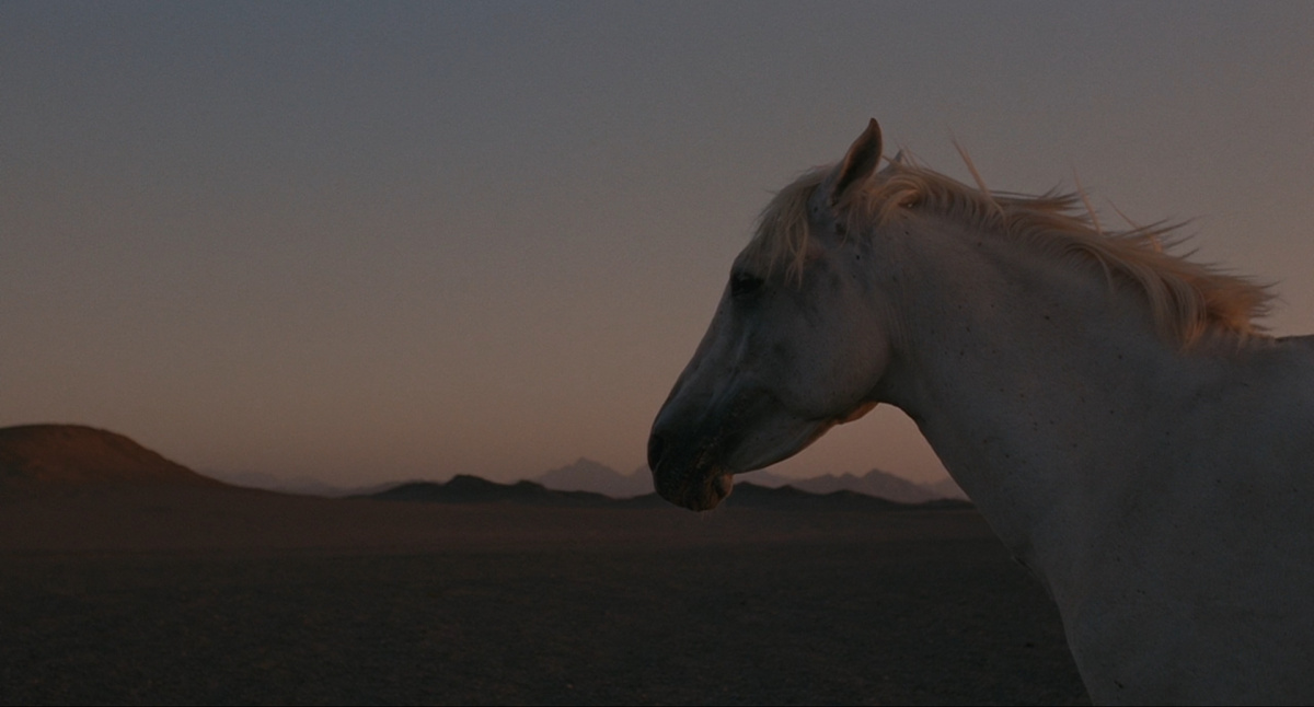 Пустыня Тартари (1976)