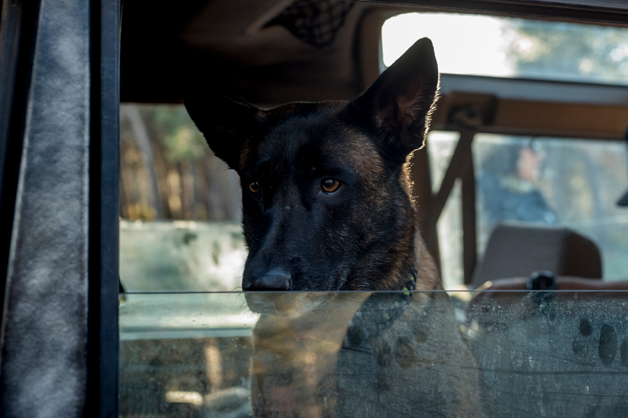 Кадры из Узы (2019)