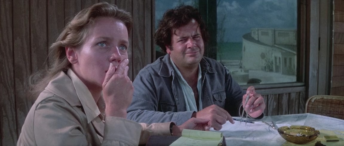 Кадры из День дельфина (1973)