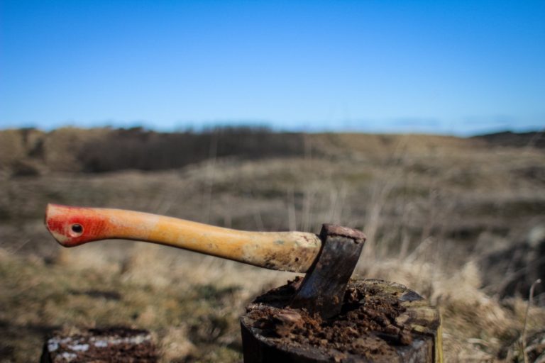 Кадры из Никто не будет спать (2019)