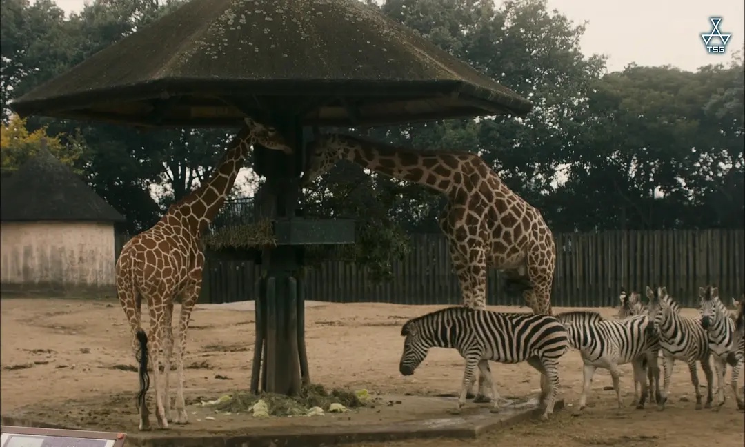 Кадры из Пропавшая (2019)