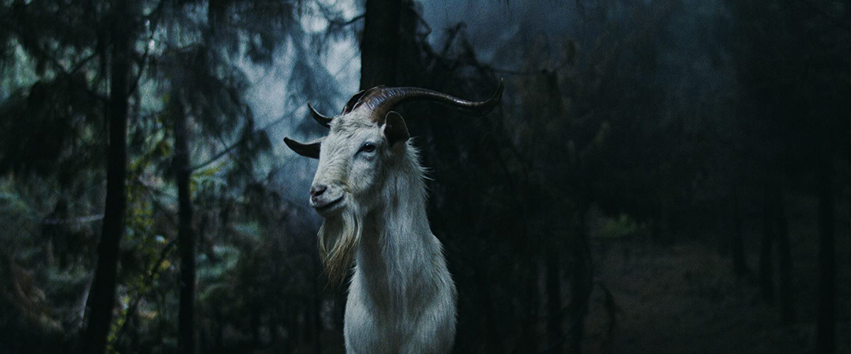 Кадры из Ведьма. История Лус (2019)