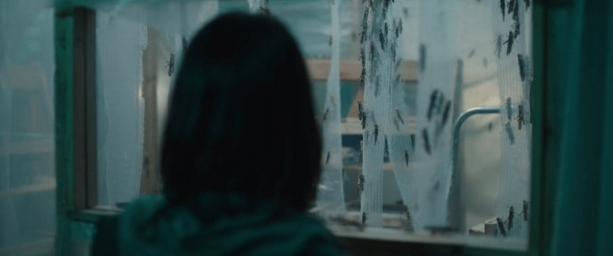 Кадры из Рой (2020)