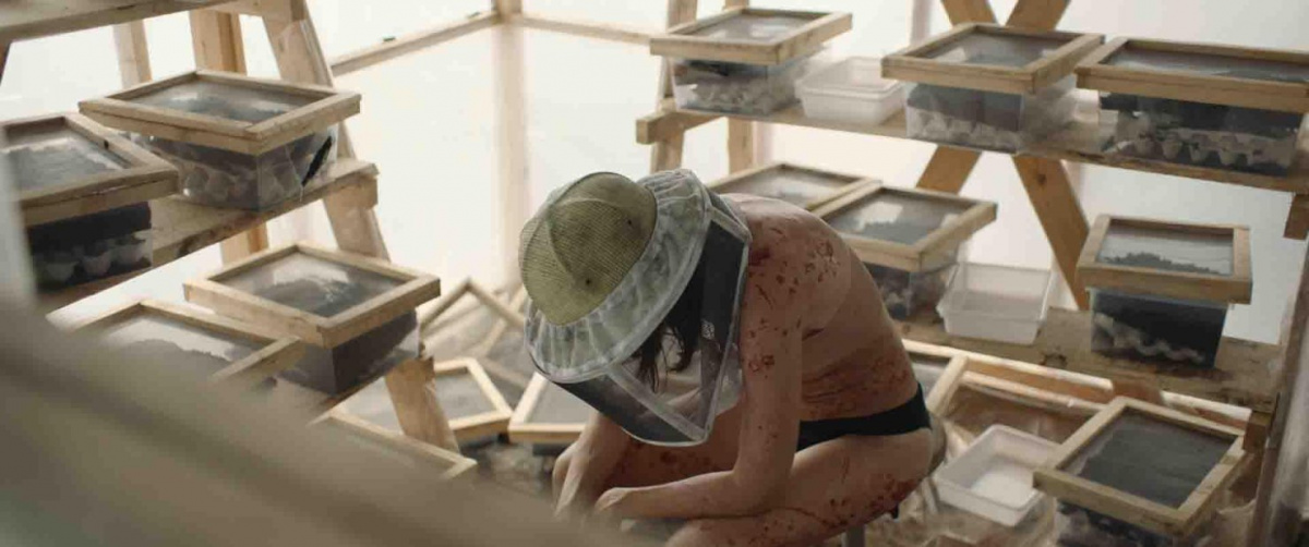 Кадры из Рой (2020)